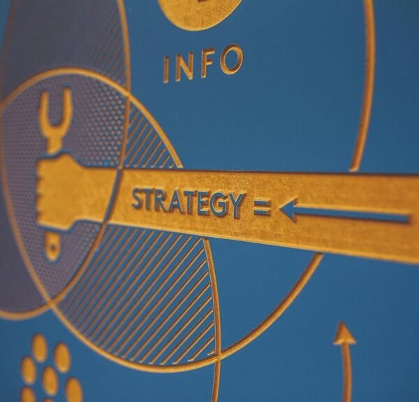 Enterprise Data Insight Summary for 120933933, 648473290, 981217900, 970818355, 918304068, 481614019