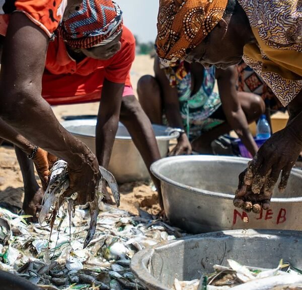 enterprise process activity summary