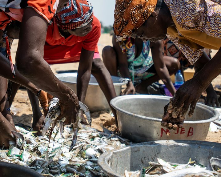 enterprise process activity summary