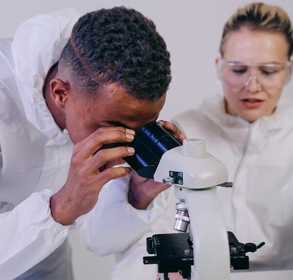 operational results intelligence summary