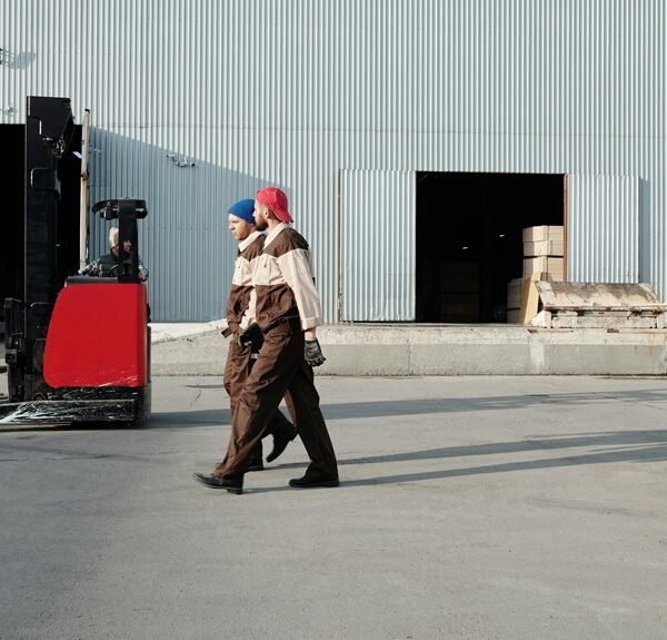 review of commercial operations